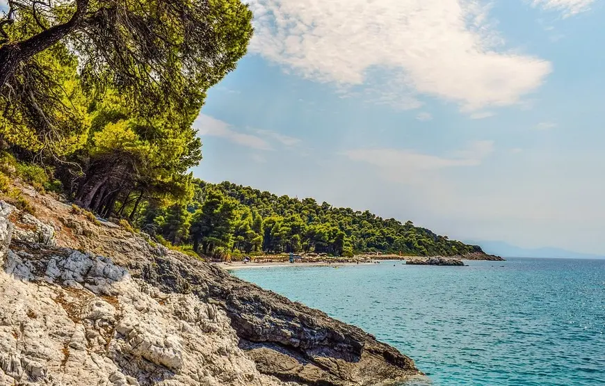 vacanza-a-skopelos-pineta-e-mare