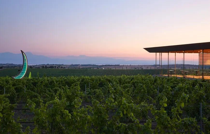 una-distesa-di-vigneti-al-tramonto-nella-tenuta-ktima-gerovassilious-grecia-calcidica