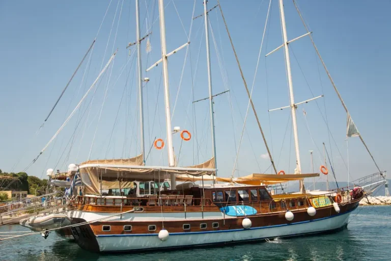 caicco-con-tutti-i-suoi-rami-rivestimenti-in-legno