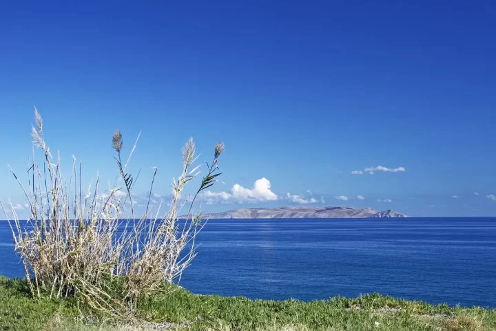 creta-a-ottobre-mare mare-di-creta-qualche-ciuffo-d-erba-in-primo-piano-e-dietro-il-mare-azzurro