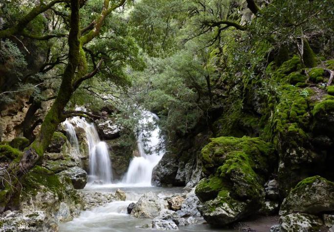 Tour Bellezze Archologiche e Naturali del centro-sud di Creta (Gortyna-Festos-Matala-Zaros)